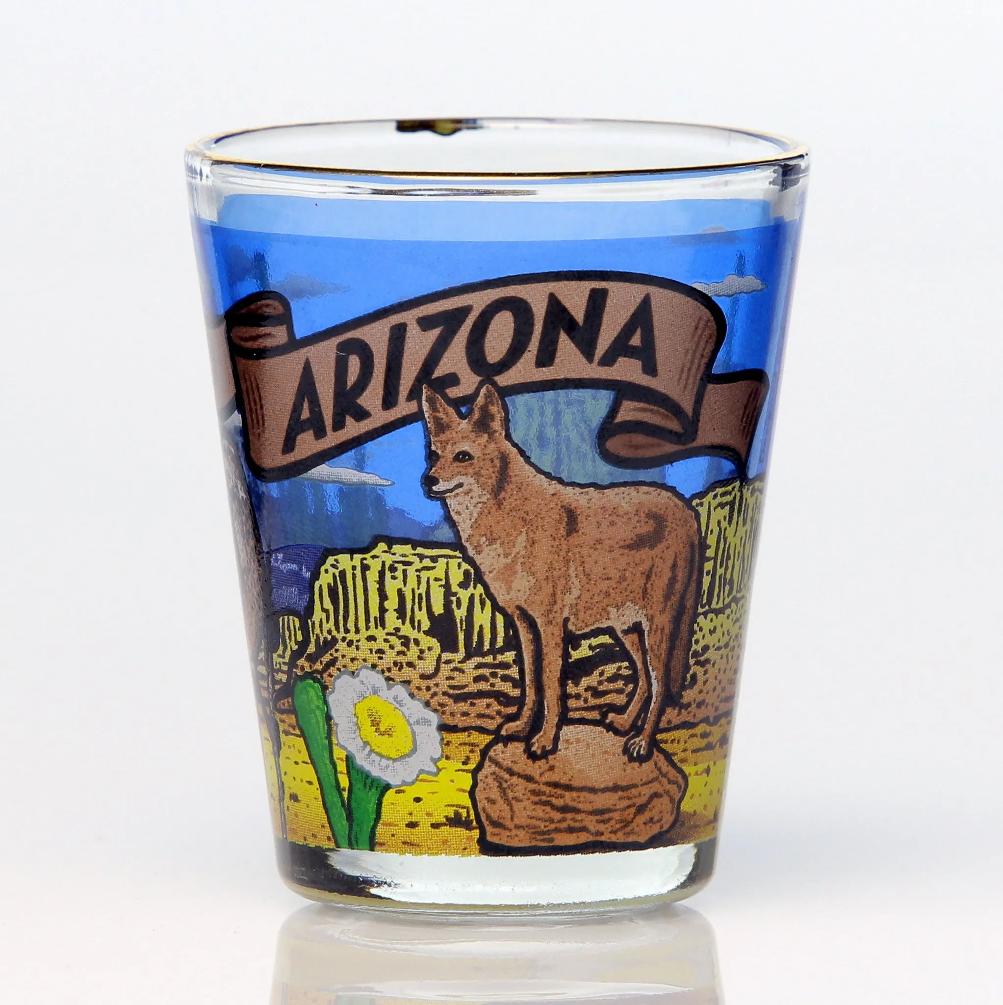 50 State Collectible Shot Glasses