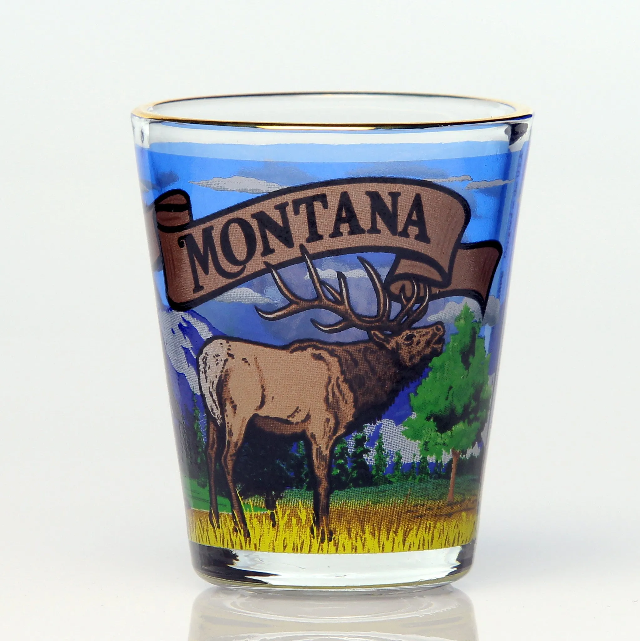 50 State Collectible Shot Glasses