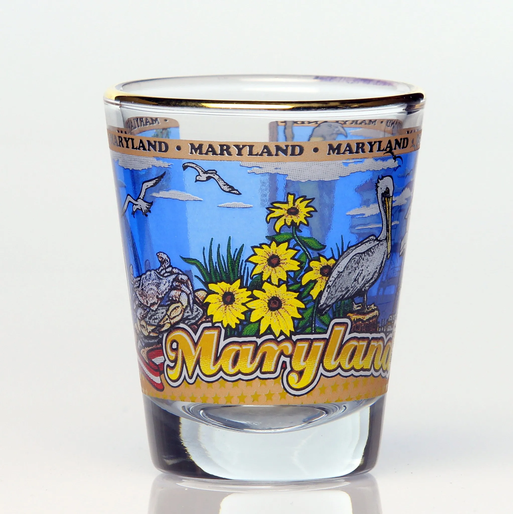 50 State Collectible Shot Glasses