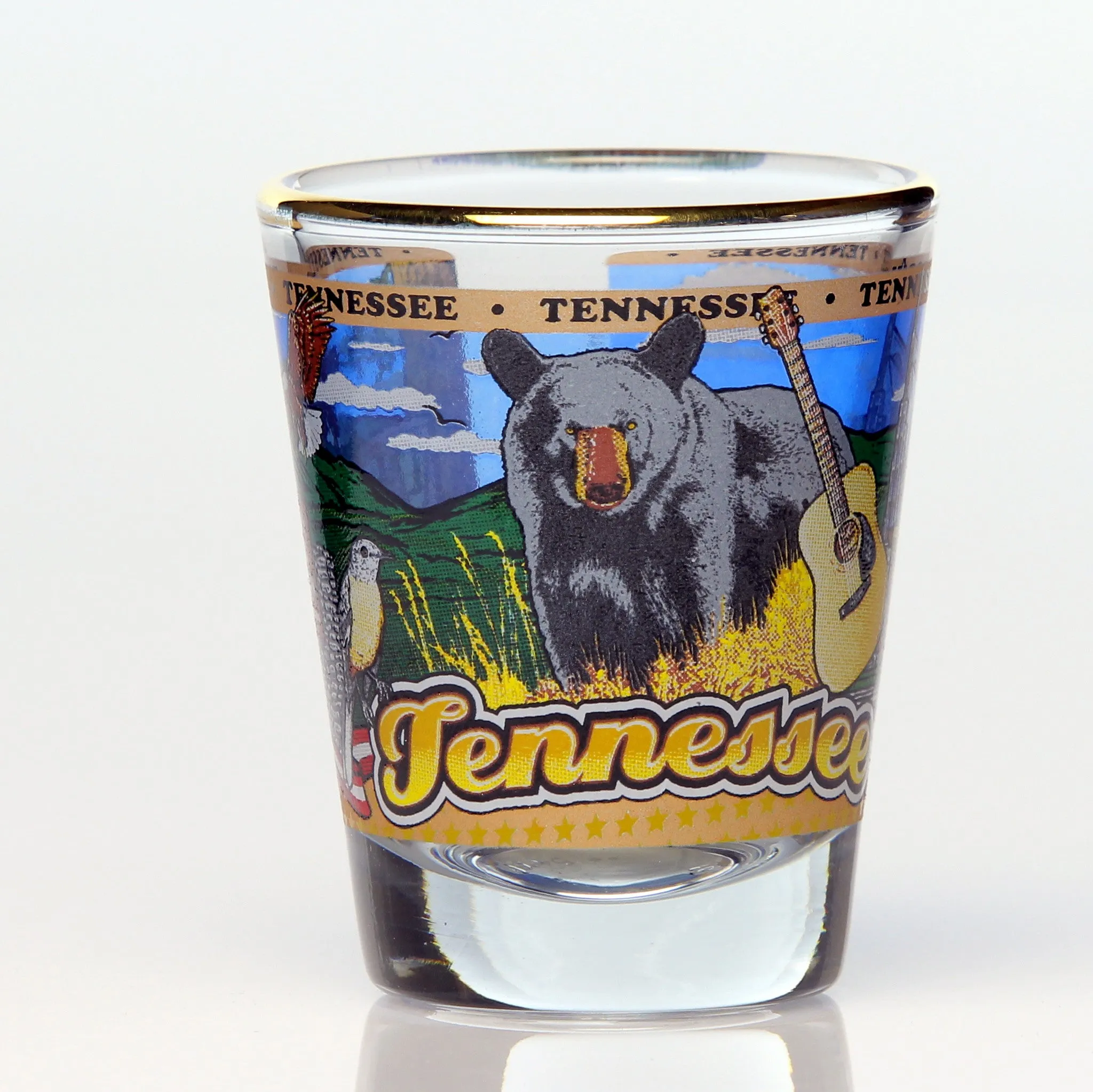 50 State Collectible Shot Glasses