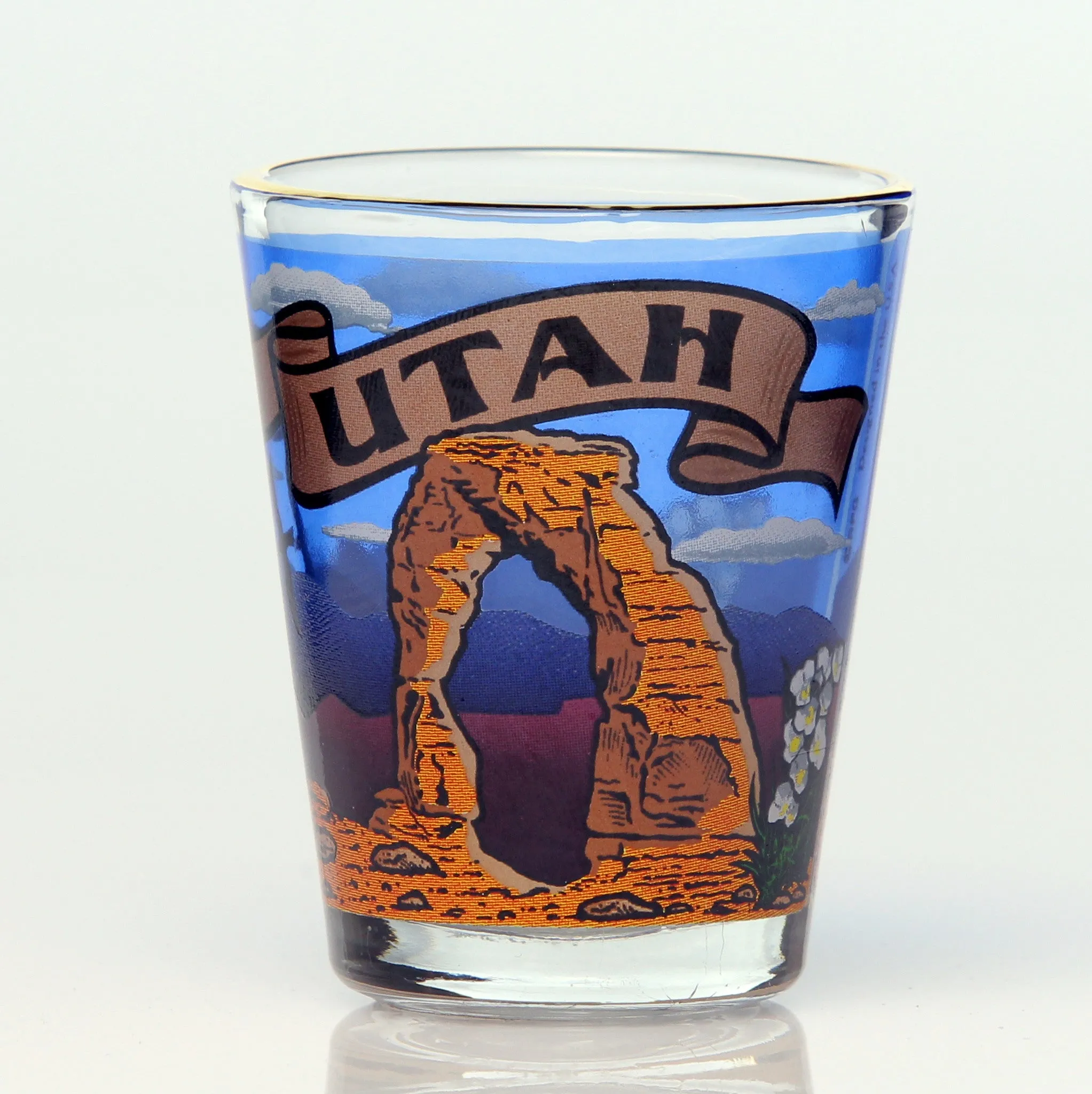 50 State Collectible Shot Glasses