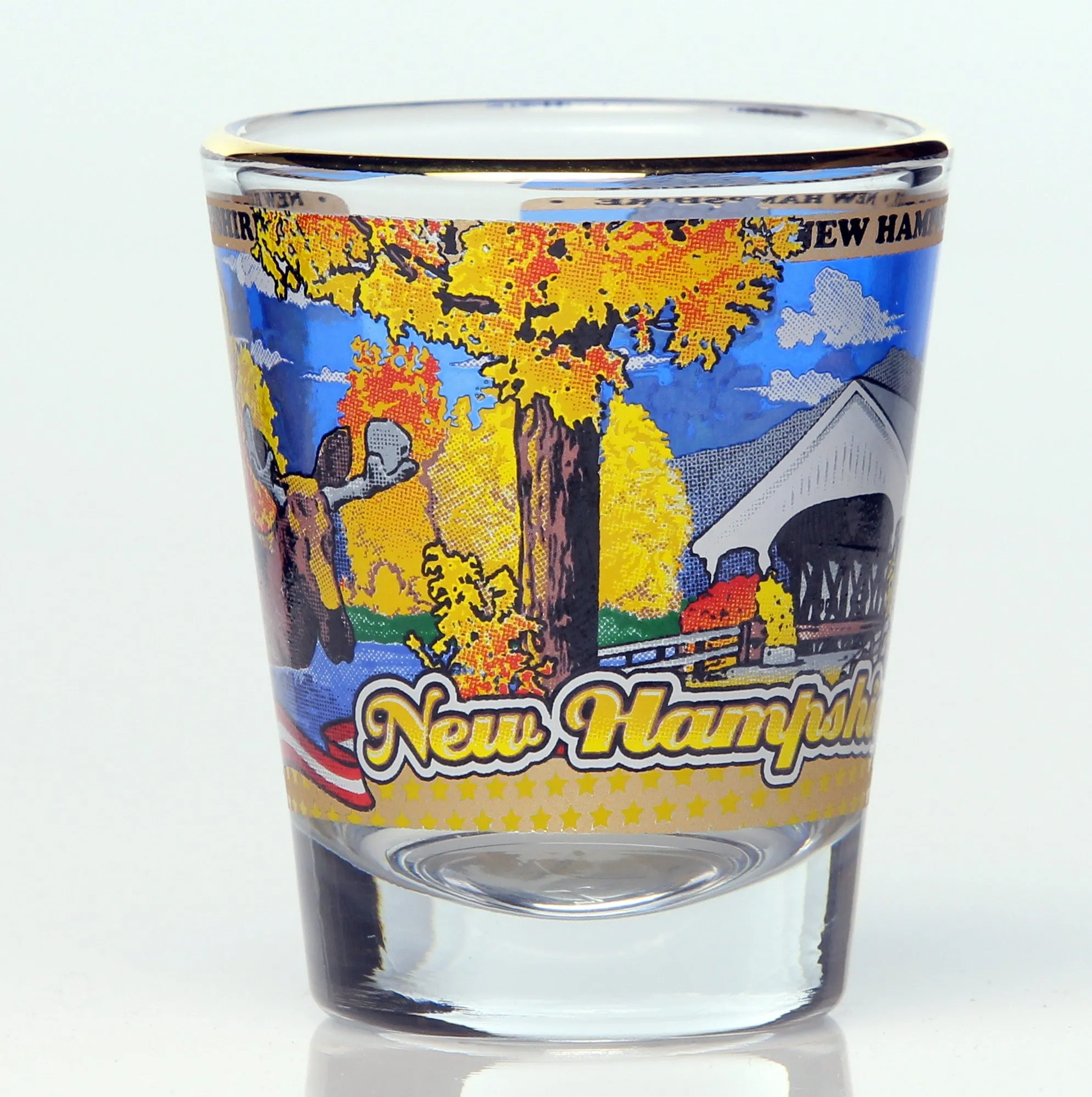 50 State Collectible Shot Glasses