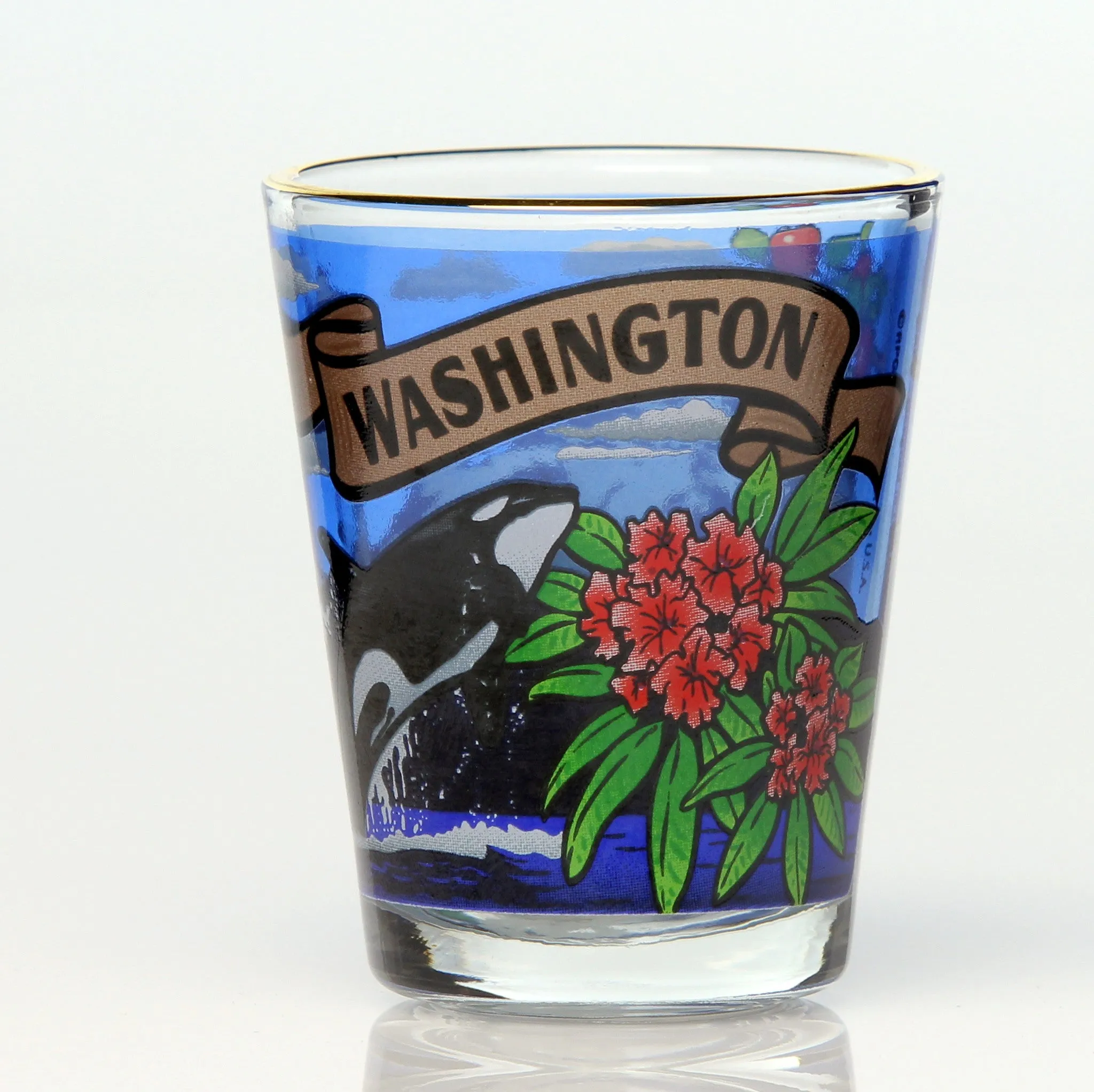 50 State Collectible Shot Glasses