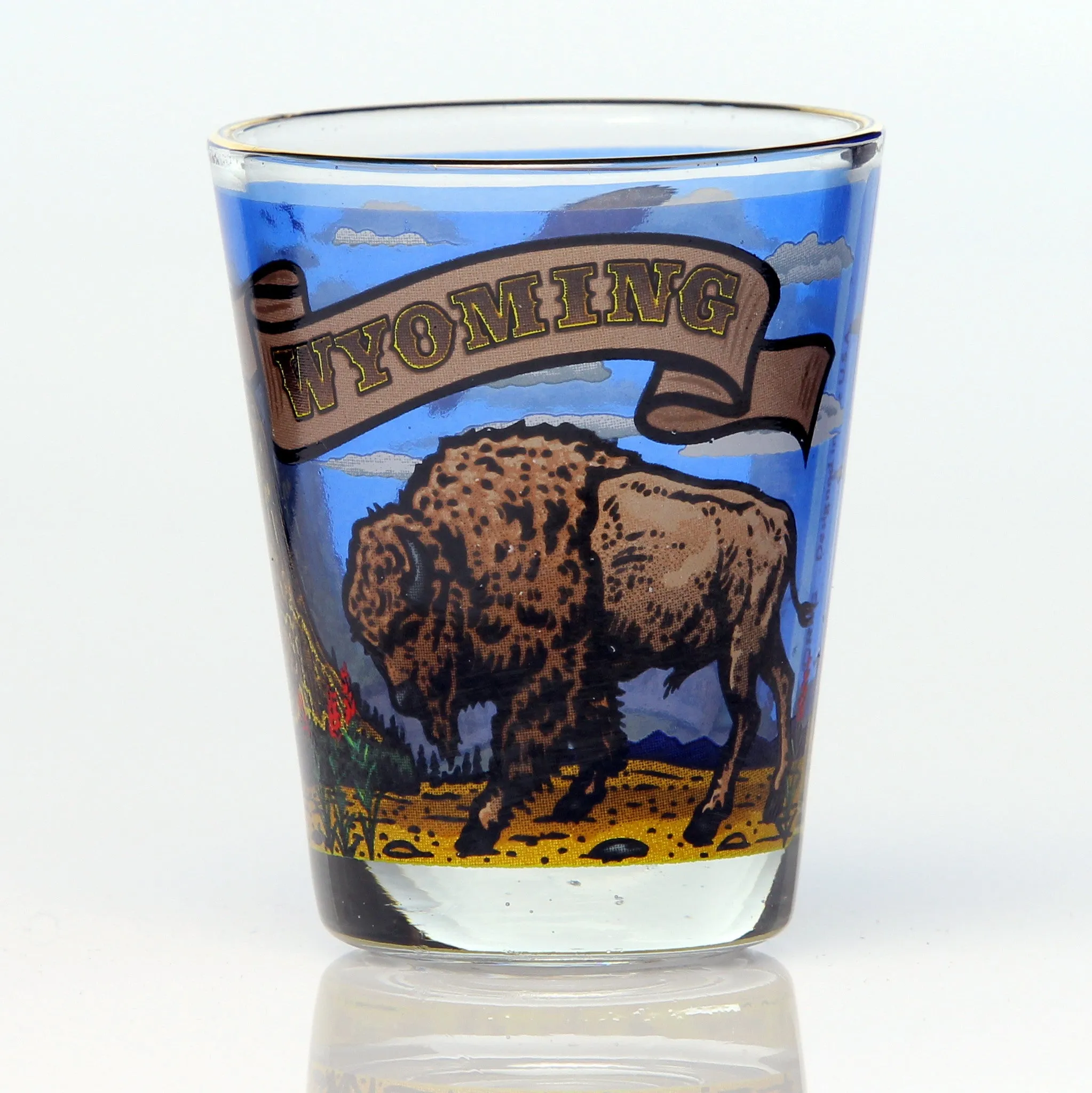 50 State Collectible Shot Glasses