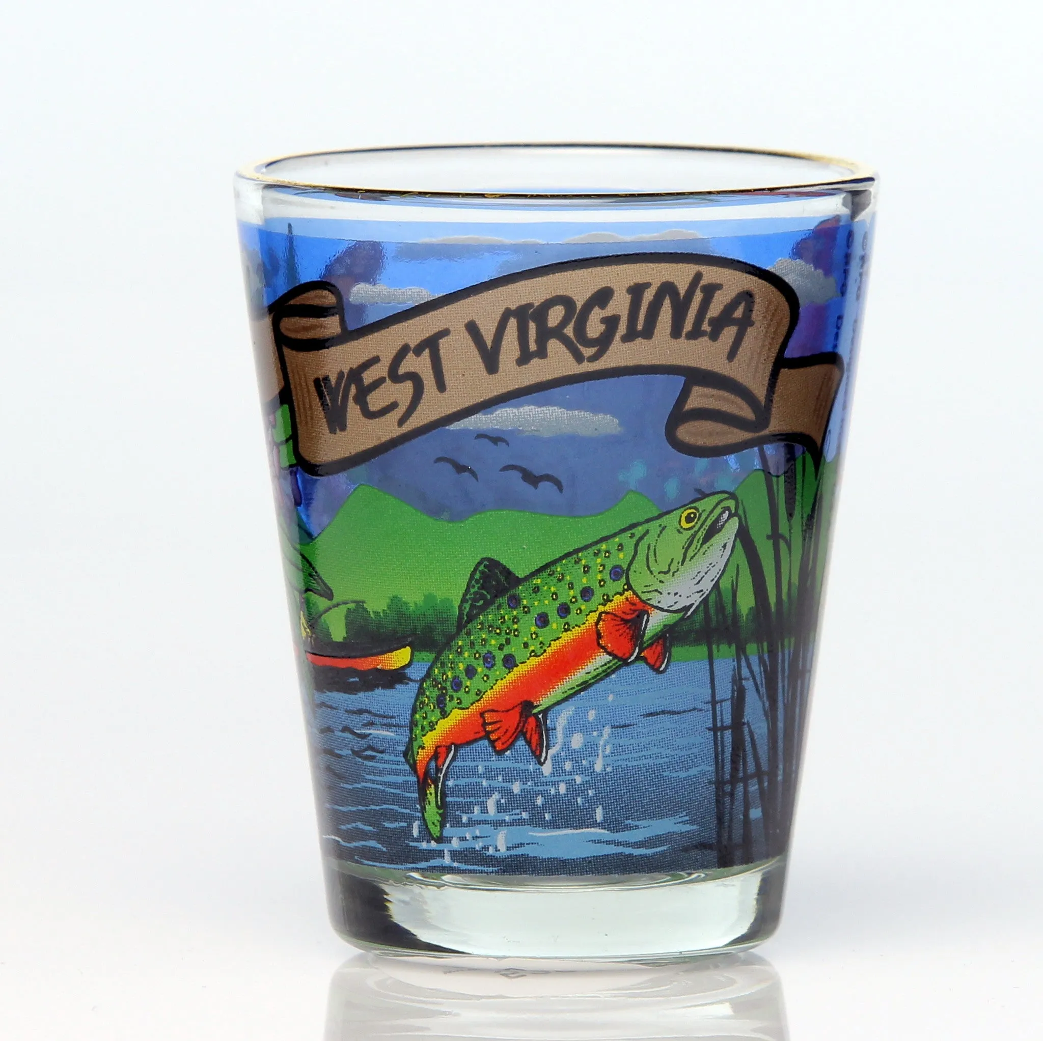 50 State Collectible Shot Glasses