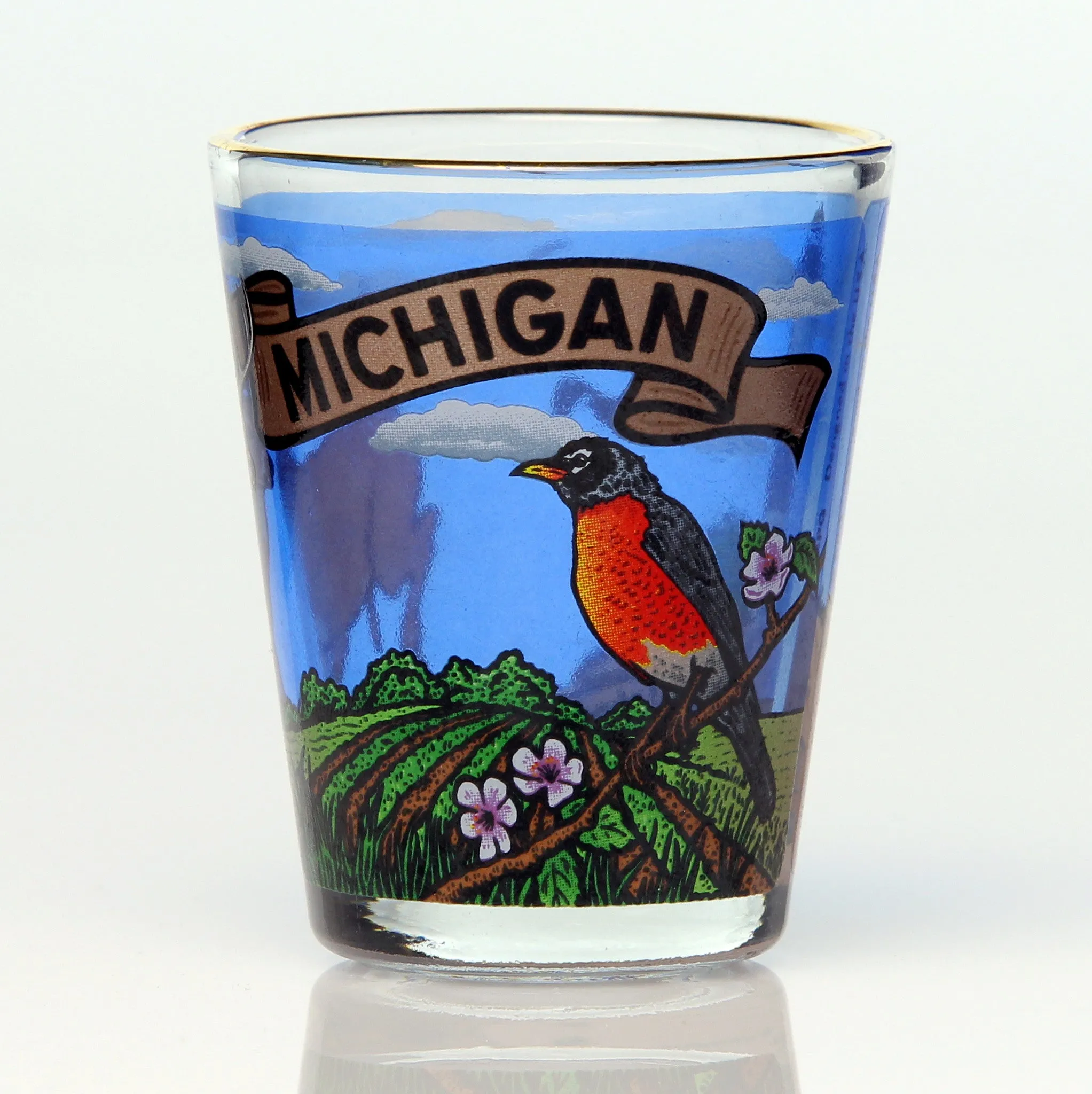 50 State Collectible Shot Glasses