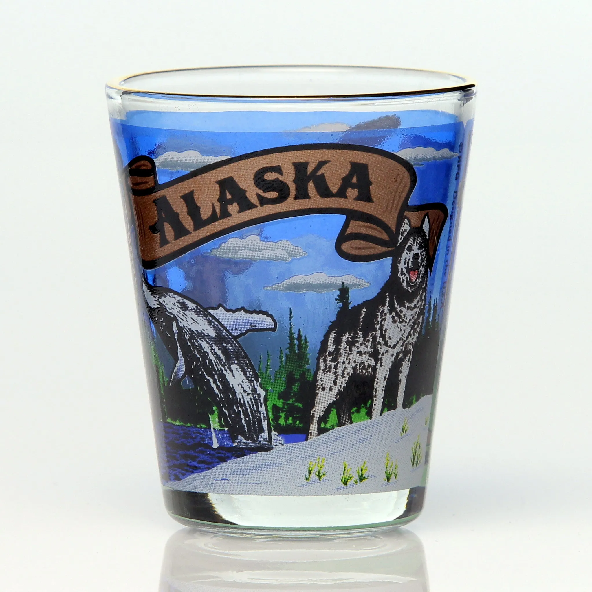 50 State Collectible Shot Glasses