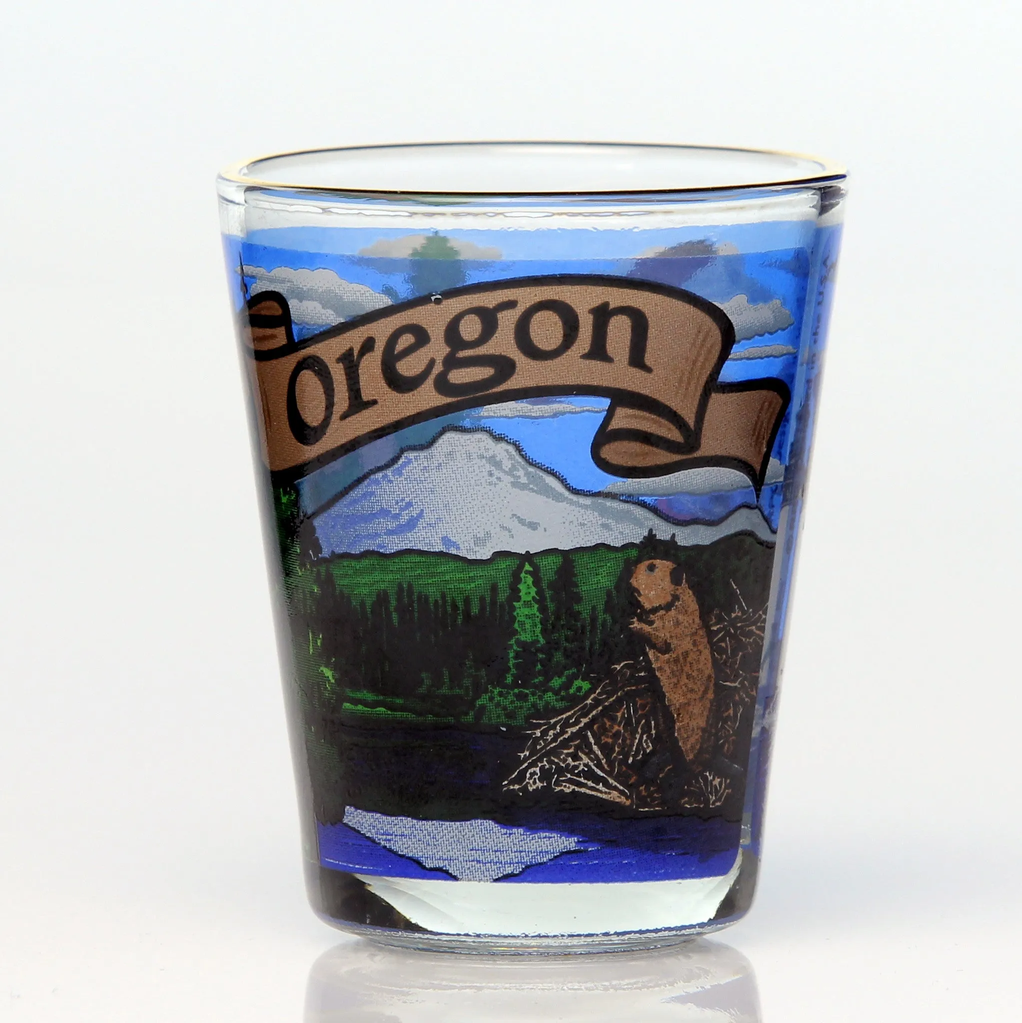 50 State Collectible Shot Glasses